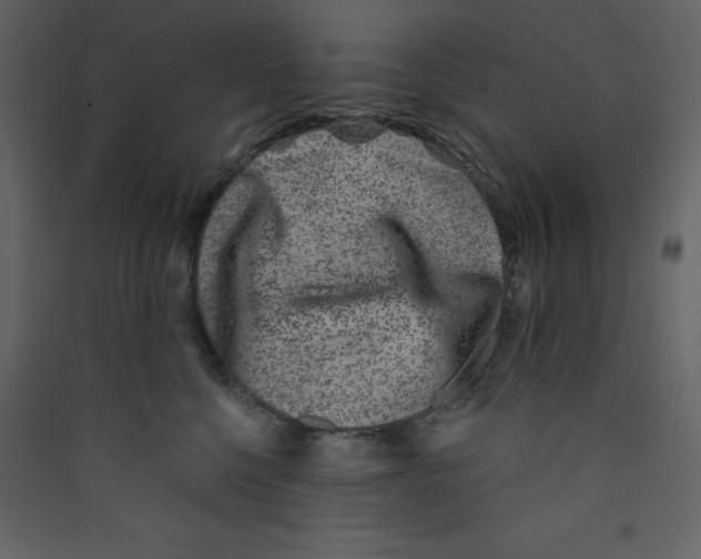 X0000089440568200707131908