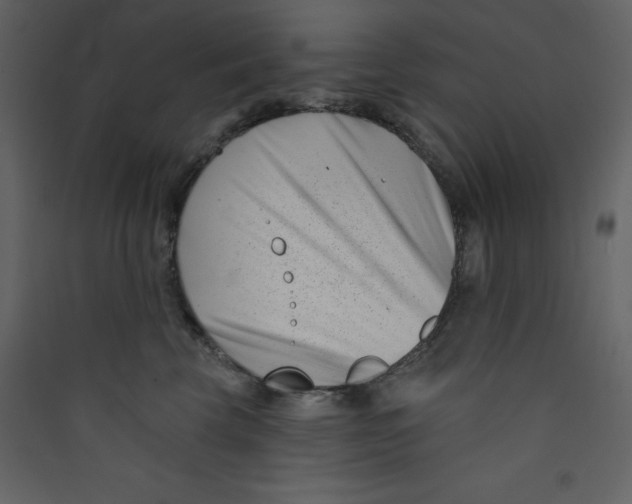 X0000089440569200707131908