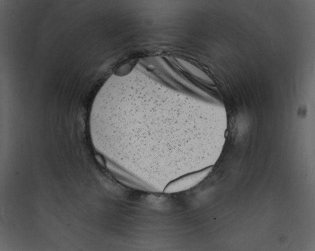 X0000089440570200707131908