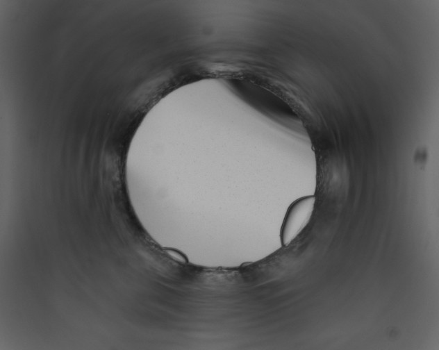 X0000089440571200707131908
