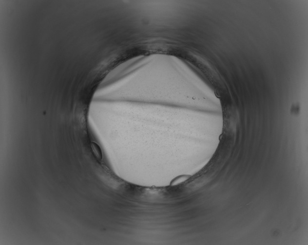 X0000089440573200707131908