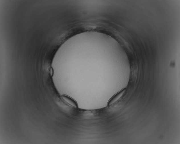 X0000089440574200707131908