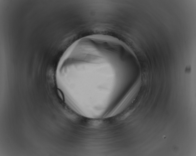 X0000089440575200707131908