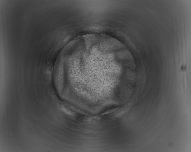 X0000089440576200707131908
