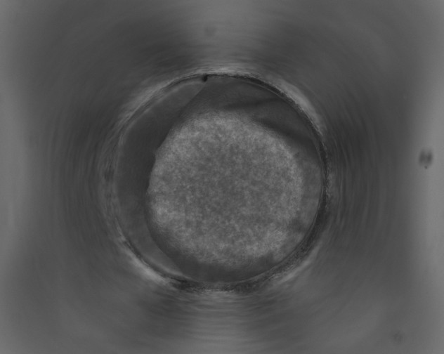X0000089440577200707131907
