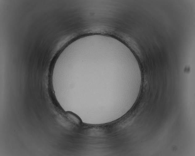 X0000089440578200707131907