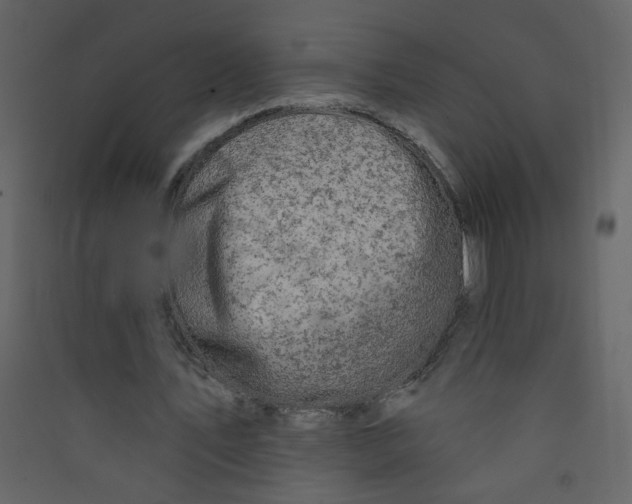 X0000089440579200707131907