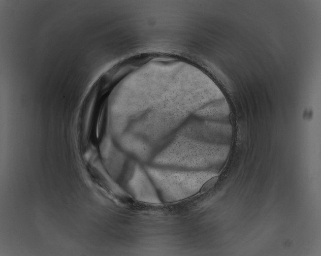 X0000089440580200707131907
