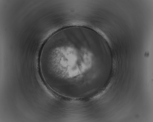 X0000089440581200707131907