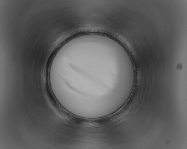 X0000089440582200707131907