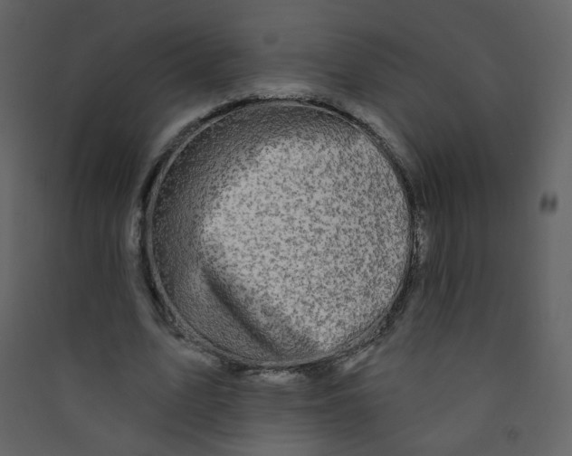 X0000089440583200707131907