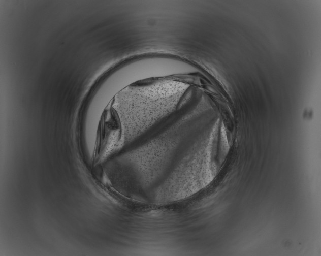 X0000089440584200707131907