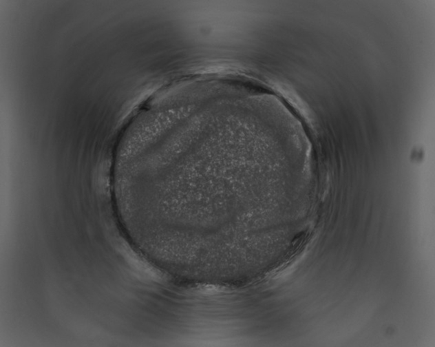 X0000089440585200707131907