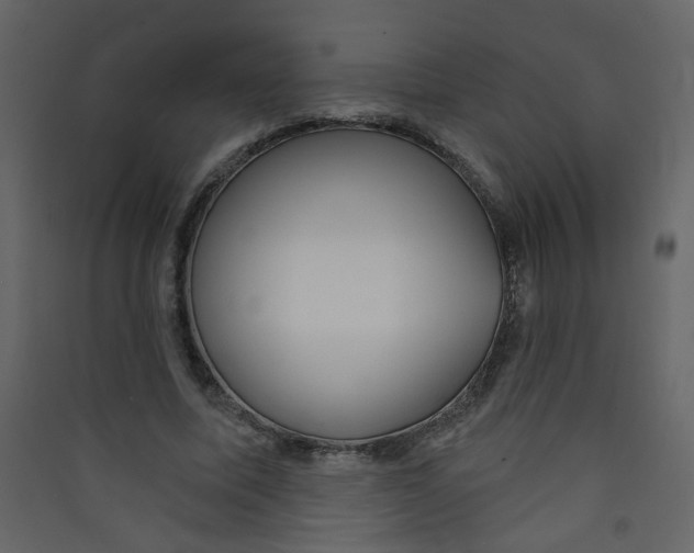 X0000089440587200707131907