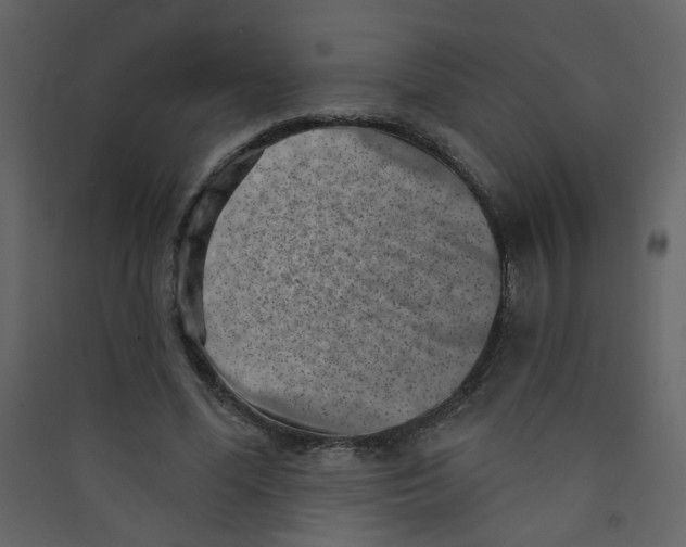 X0000089440588200707131907