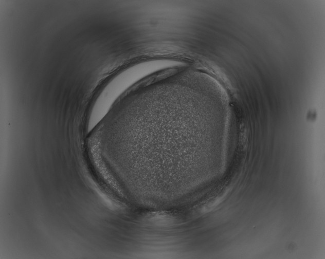 X0000089440589200707131907