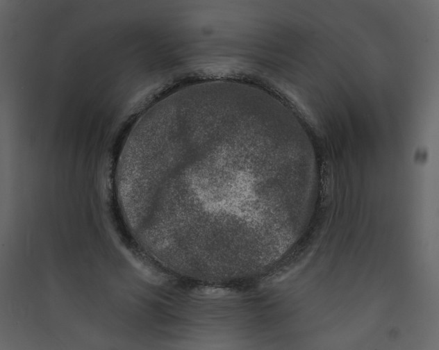 X0000089440590200707131907