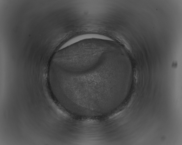 X0000089440593200707131907