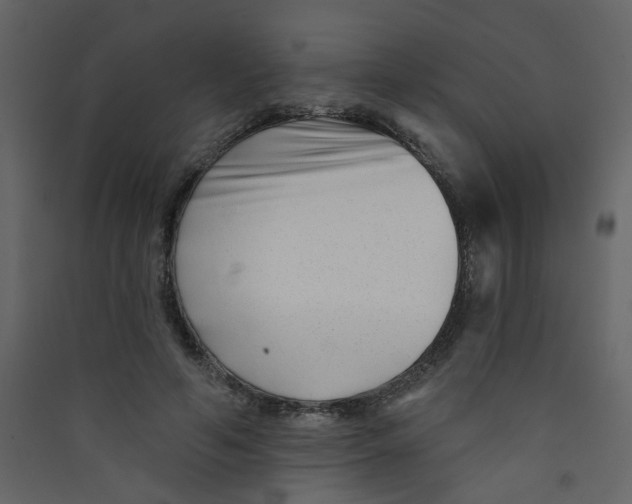X0000089440594200707131907