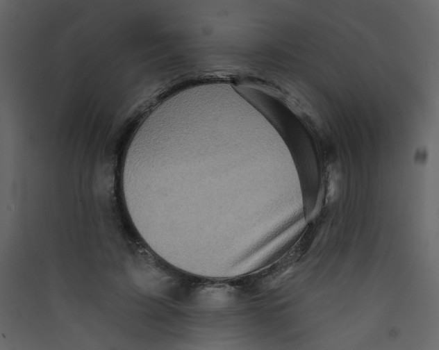X0000089440595200707131907