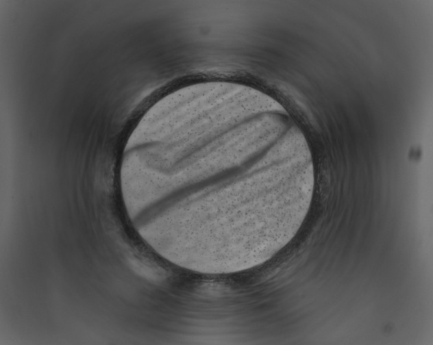 X0000089440596200707131907
