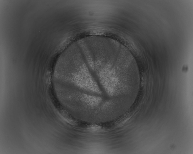 X0000089440598200707131907
