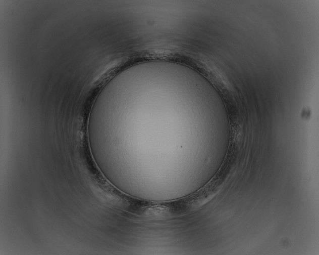 X0000089440599200707131907