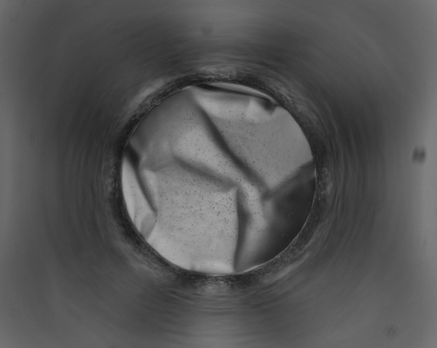 X0000089440600200707131907