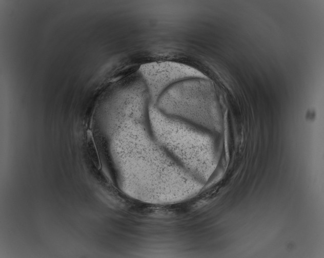 X0000089440601200707131907
