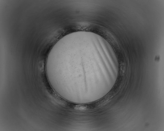 X0000089440602200707131907