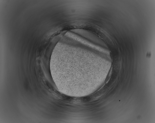 X0000089440604200707131907