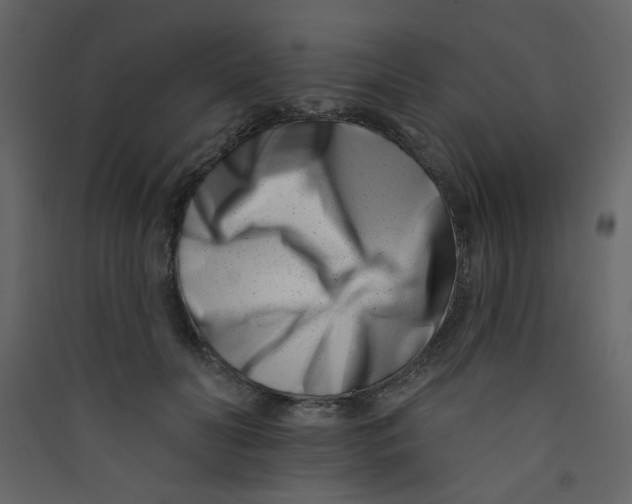 X0000089440606200707131907