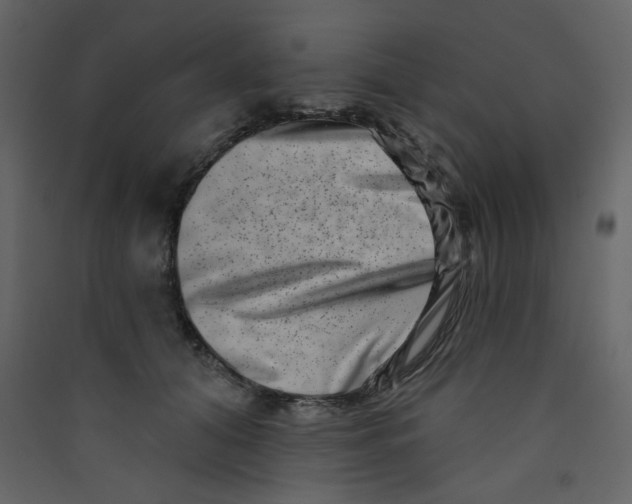X0000089440608200707131907