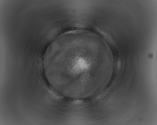 X0000089440609200707131907