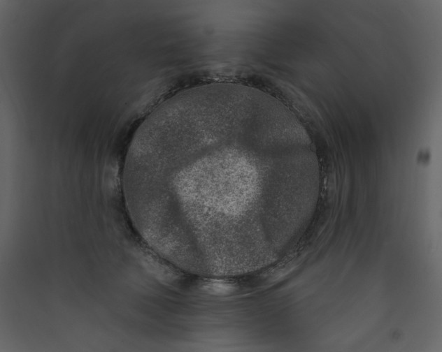 X0000089440610200707131907
