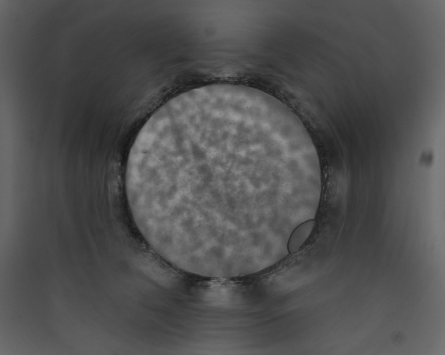 X0000089440612200707131907