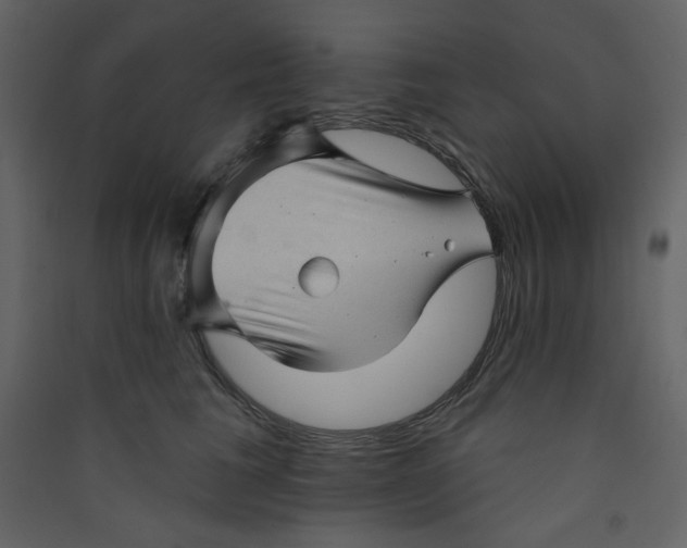 X0000089440613200707131907