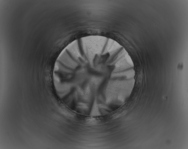 X0000089440616200707131907