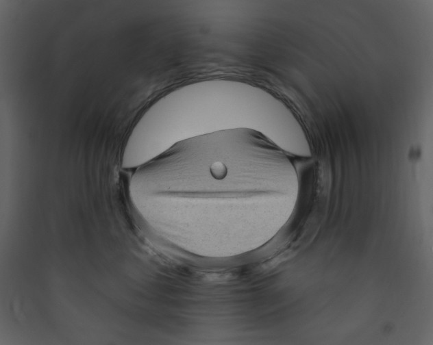 X0000089440621200707131907