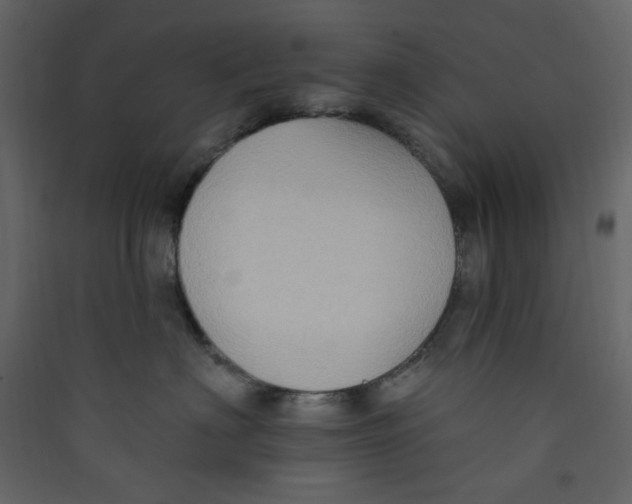 X0000089440622200707131907