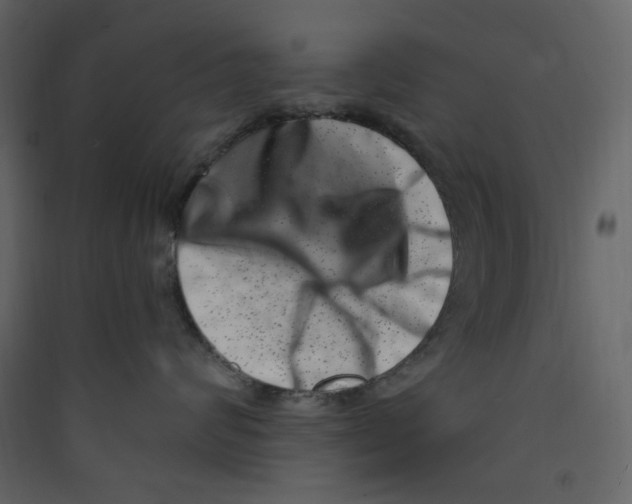X0000089440624200707131907