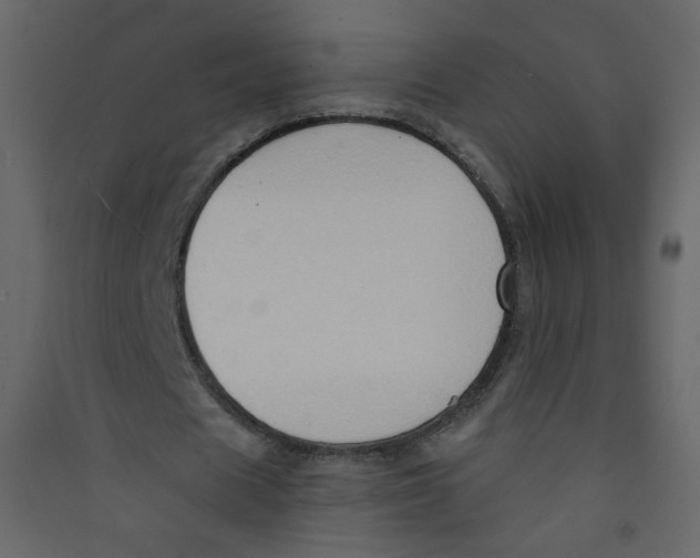 X0000089440625200707131906