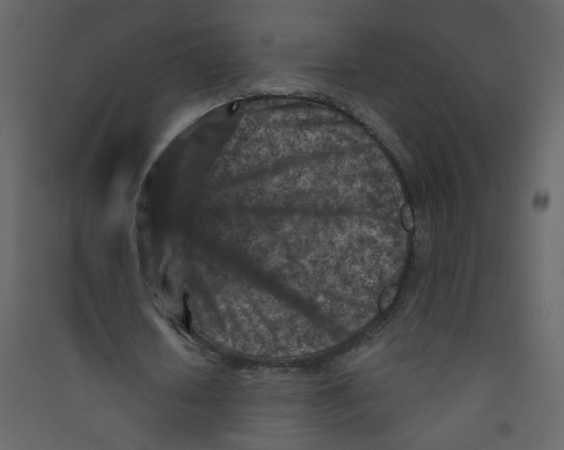 X0000089440626200707131906