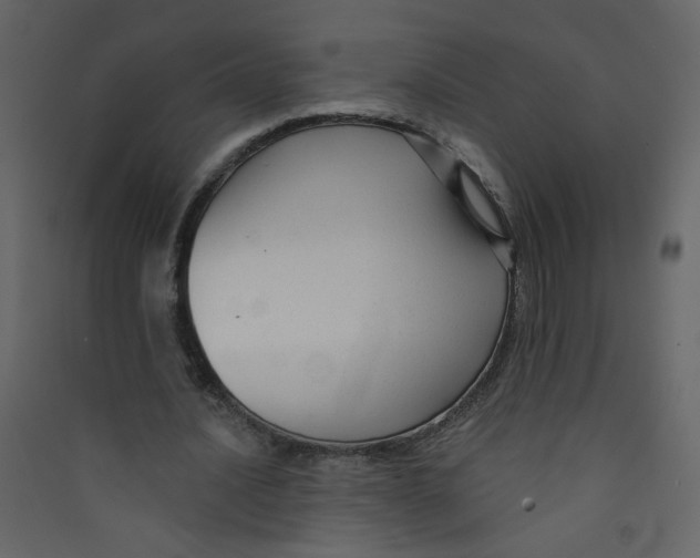 X0000089440628200707131906