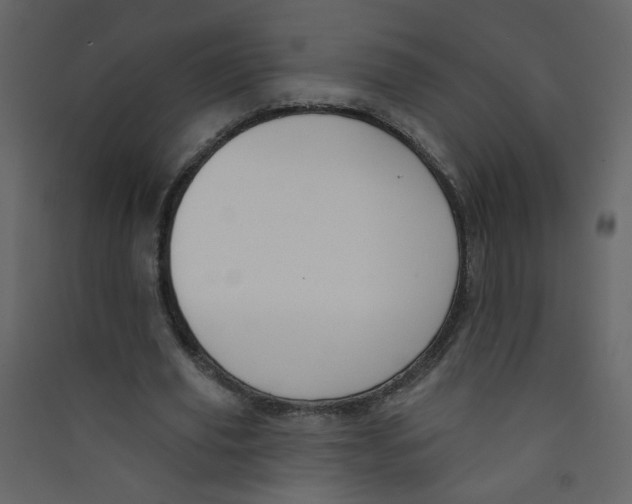 X0000089440629200707131906