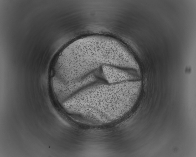 X0000089440630200707131906