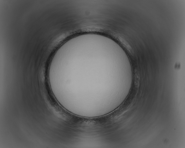 X0000089440631200707131906
