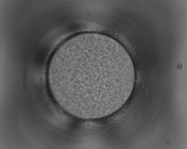 X0000089440632200707131906