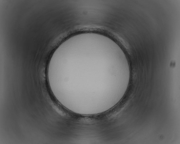 X0000089440633200707131906