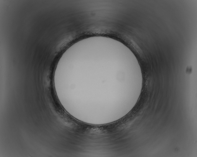 X0000089440635200707131906
